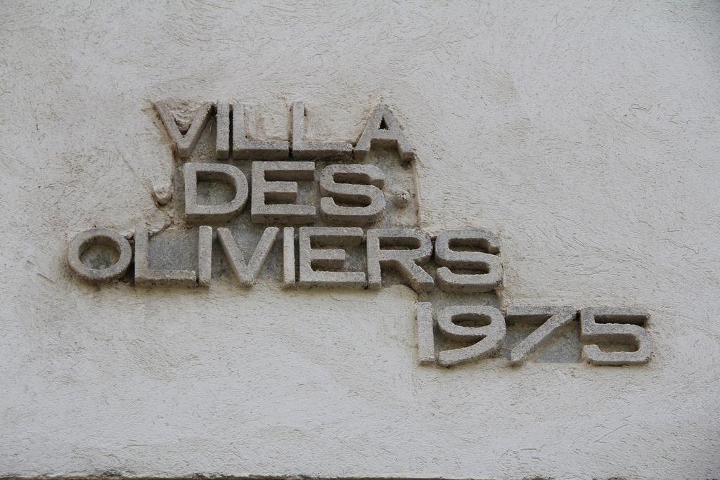 Villa Des Oliviers Фонвьей Экстерьер фото